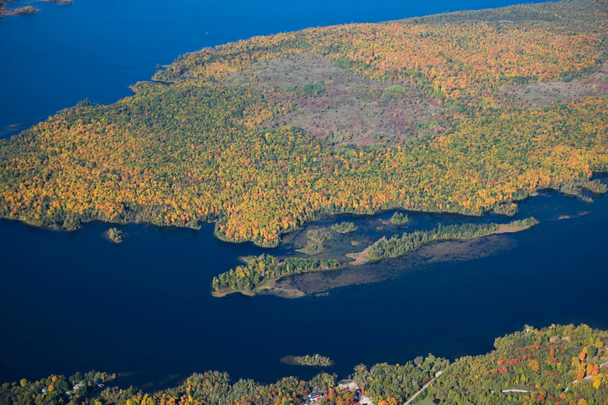 Big (Boyd/Chiminis) Island Image