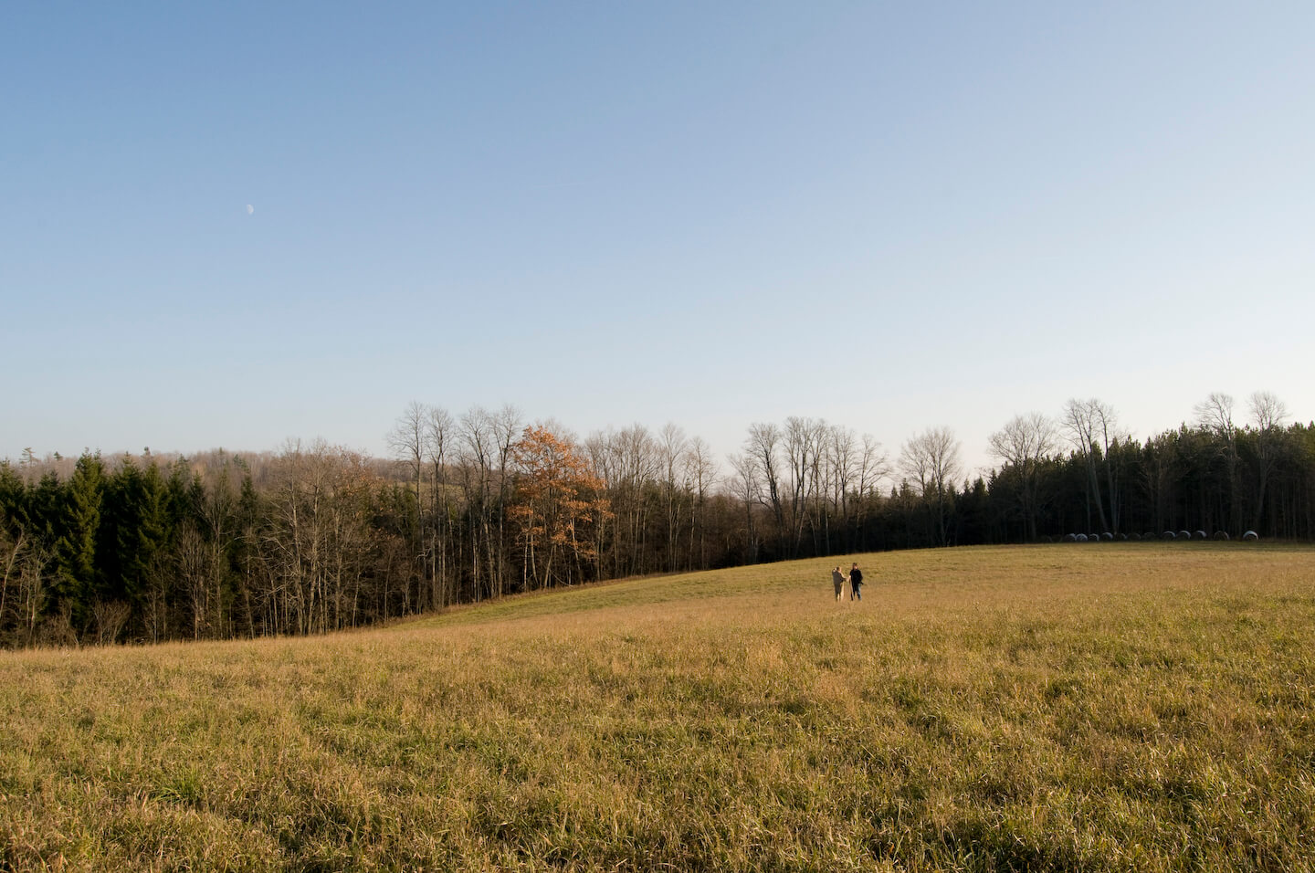 Glen Burn Image