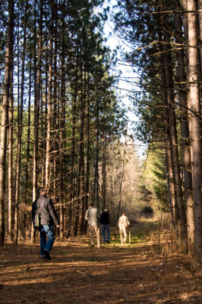 Glen Burn Image