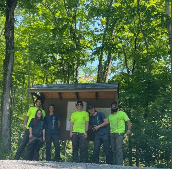 Logan Tree Experts
