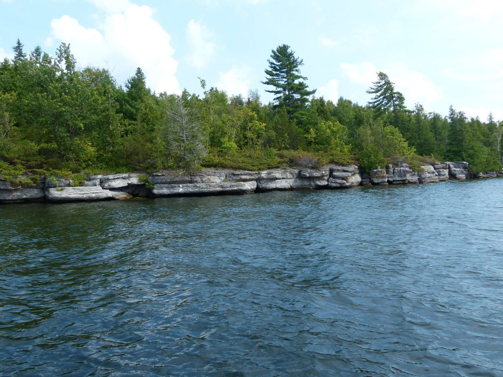 Shoreline at Kawartha Land Trust's Big Boyd Chiminis Island in Pigeon Lake