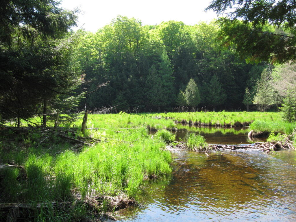 Creek at Falls Property Kawarthas
