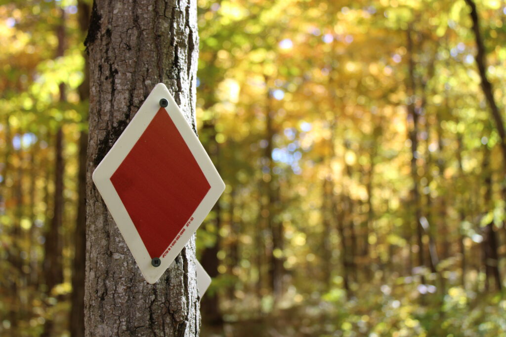 Red diamond trail blaze in fall forest at Kawartha Land Trust's Christie Bentham Wetland
