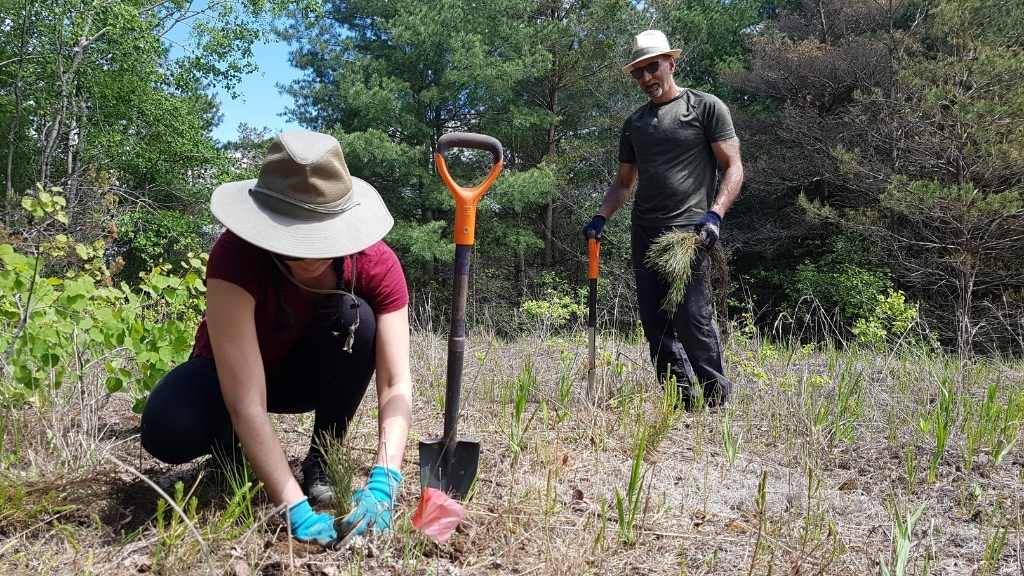 Two volunteers planting trees at Ballyduff Trails