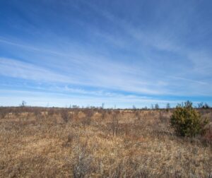 Kawartha land Trust's Cation Wildlife Preserve near Coboconk, Kawartha Lakes