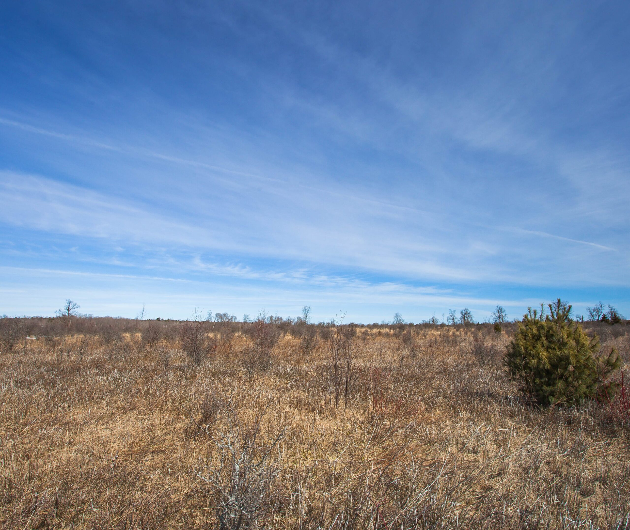 Kawartha land Trust's Cation Wildlife Preserve near Coboconk, Kawartha Lakes