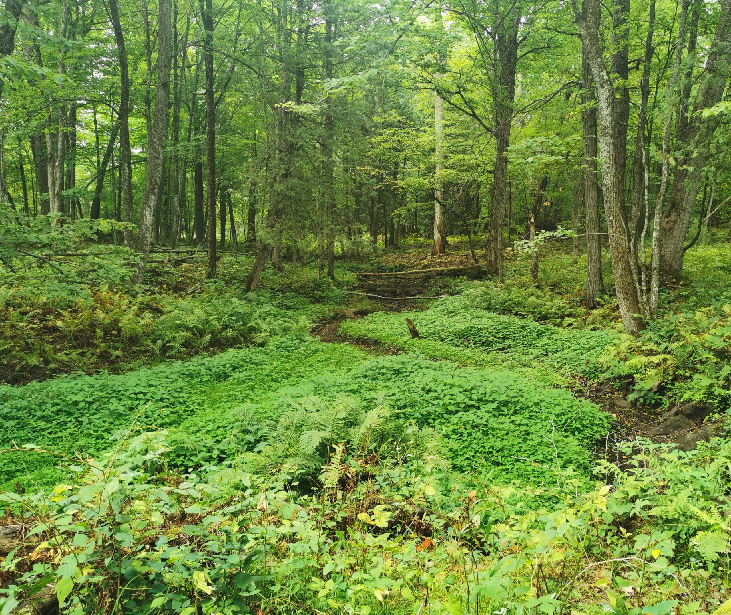 KLT protected land