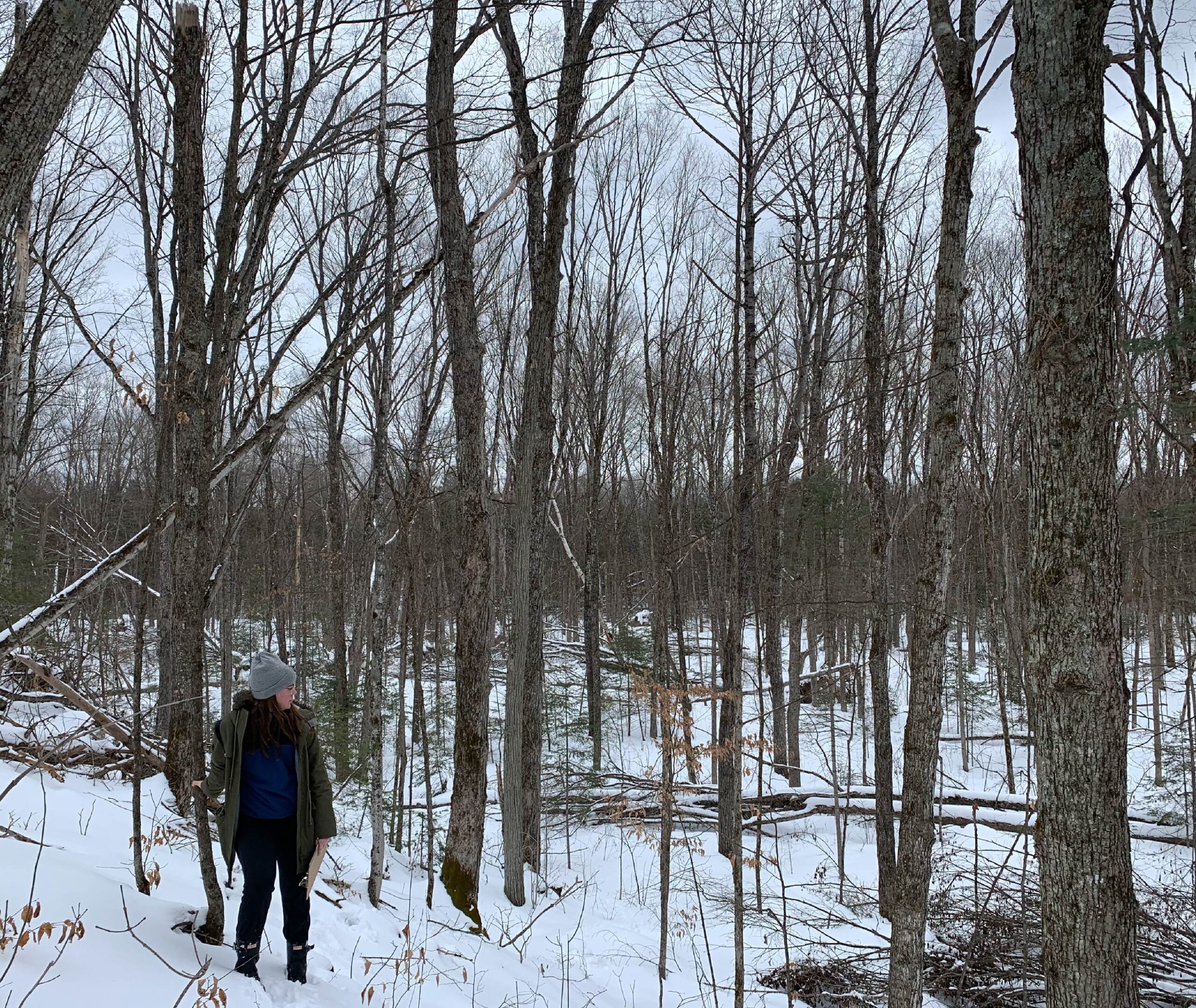 Volunteer at winter site visit at Kawartha Land Trust's Forbes Lane Property