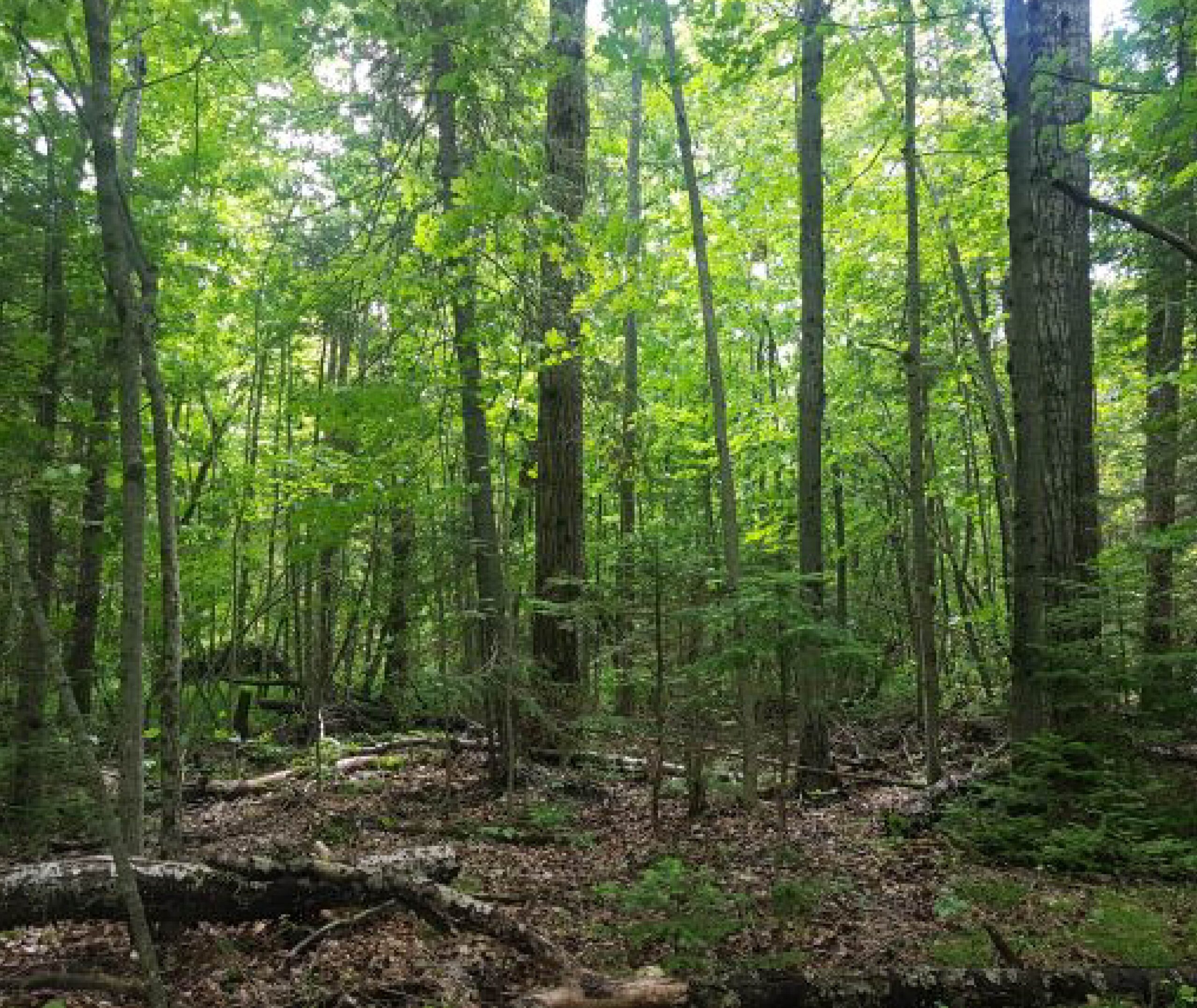 KLT protected land