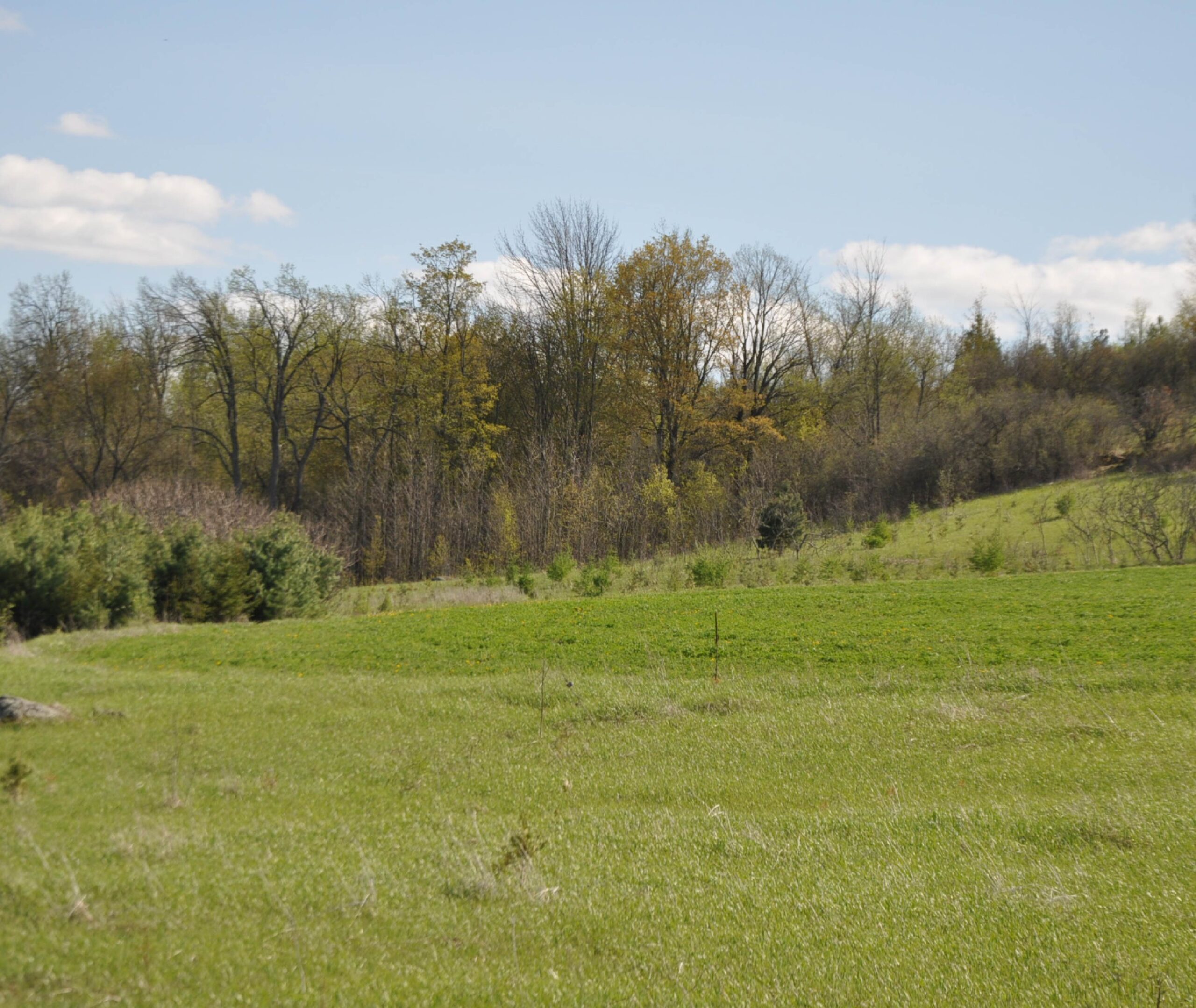 Sheidow Farm CEA