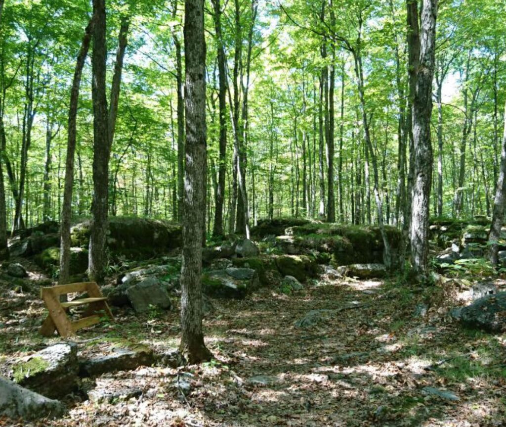 Bench along hiking trail at Kawartha Land Trust's Ingleton-Wells Property at Stony Lake