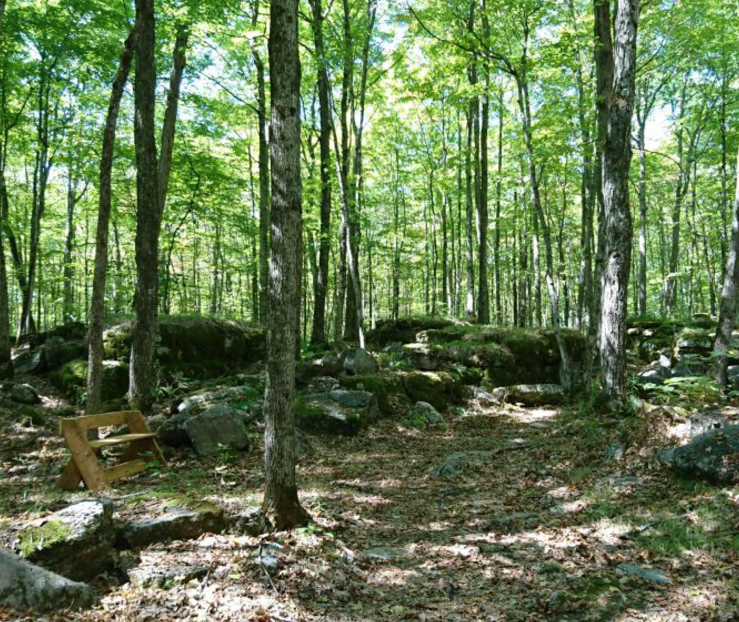 Bench along hiking trail at Kawartha Land Trust's Ingleton-Wells Property at Stony Lake