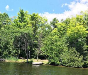 Dock at Kawartha Land Trust's Jeffrey-Cowan Forest Preserve at Stony Lake