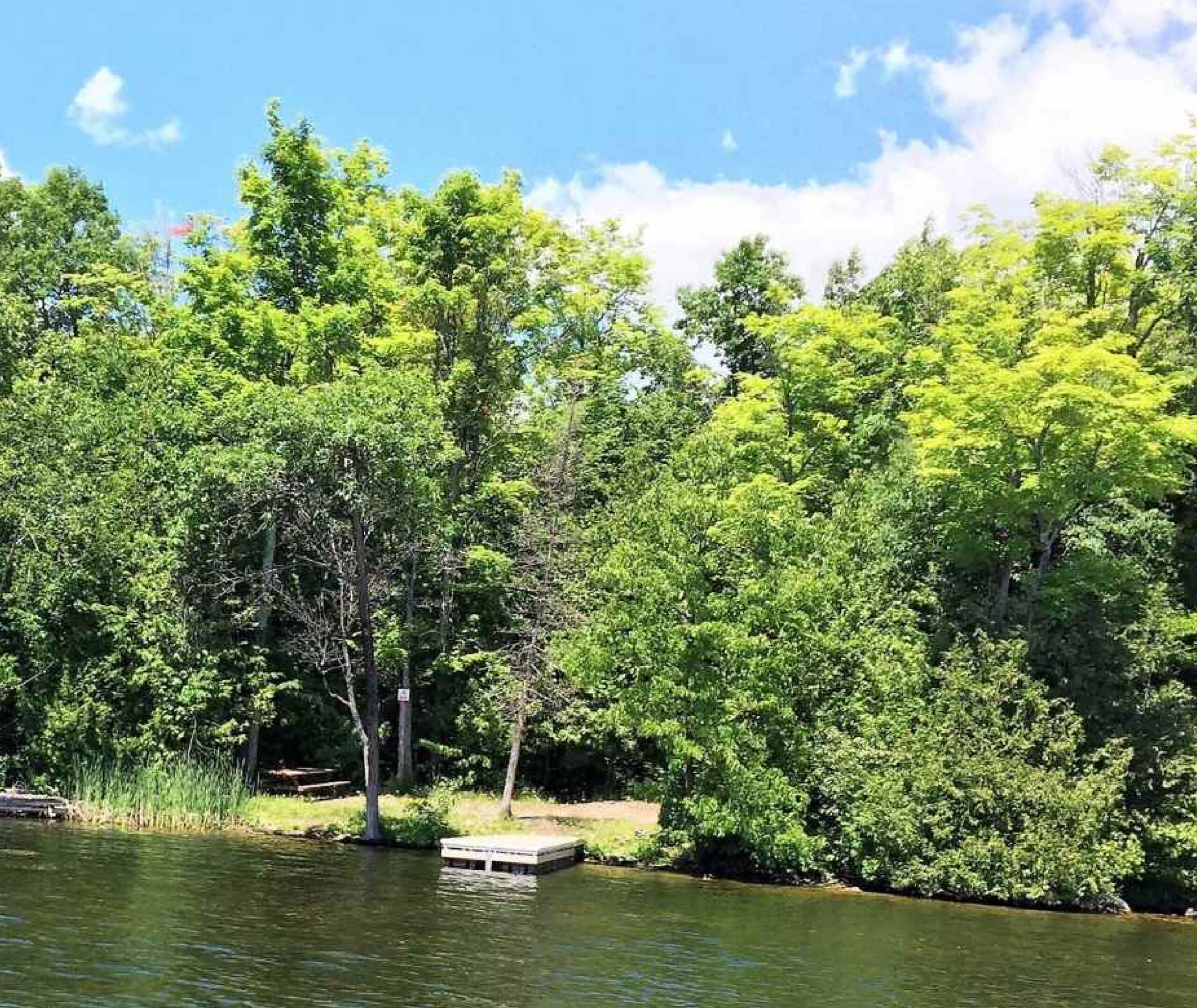 Dock at Kawartha Land Trust's Jeffrey-Cowan Forest Preserve at Stony Lake