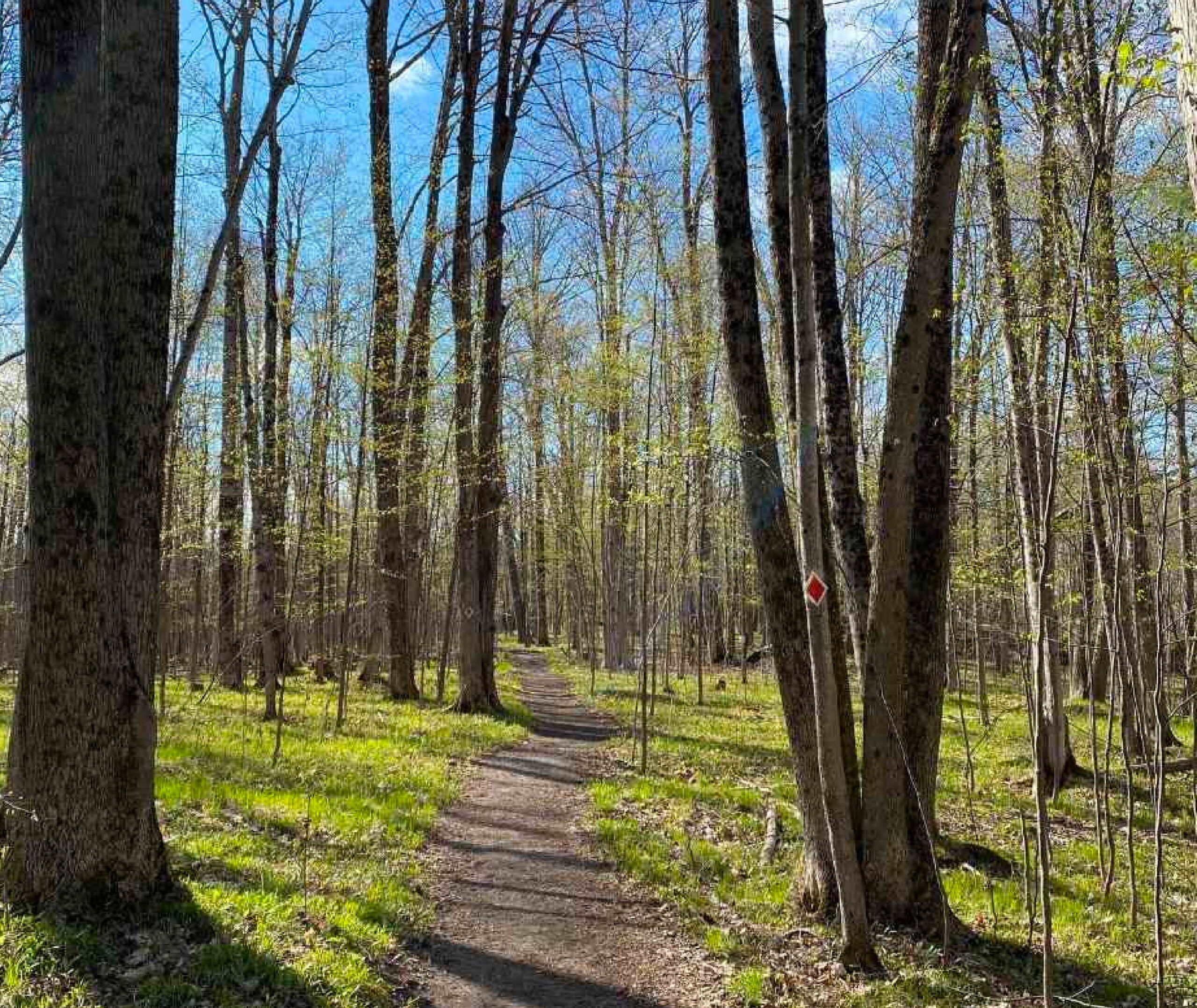 Hiking Trail at Kawartha Land Trust's Jeffrey-Cowan Forest Preserve at Stony Lake in North Kawartha.