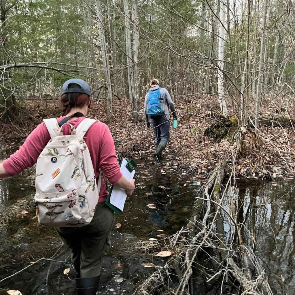 Salamander survey on KLT Partners in Conservation member land