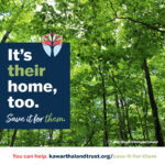 Kawartha Land Trust Save it for Them Image