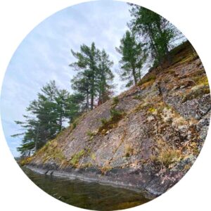 Natural shoreline on Stoney Lake