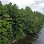 Natural shoreline at Hammer Family Nature Preserve