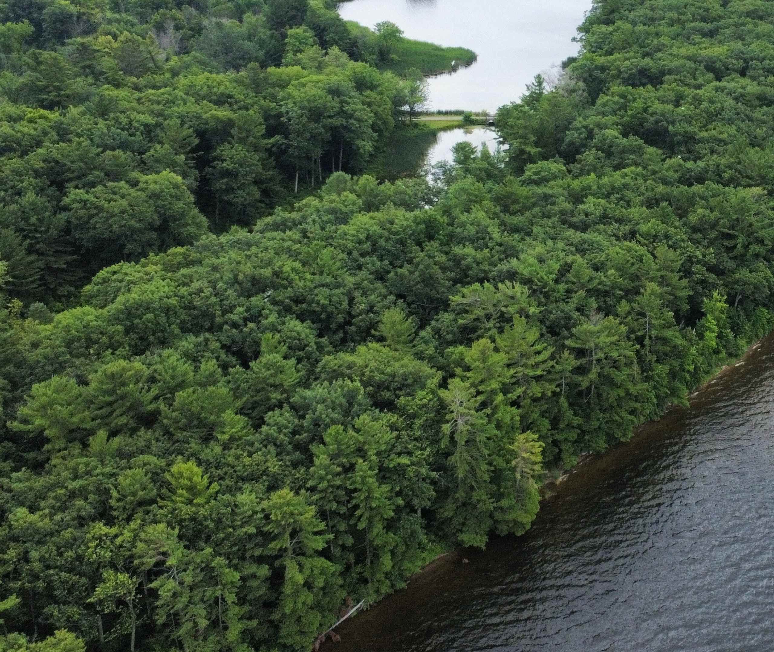 KLT's Hammer Family Nature Preserve