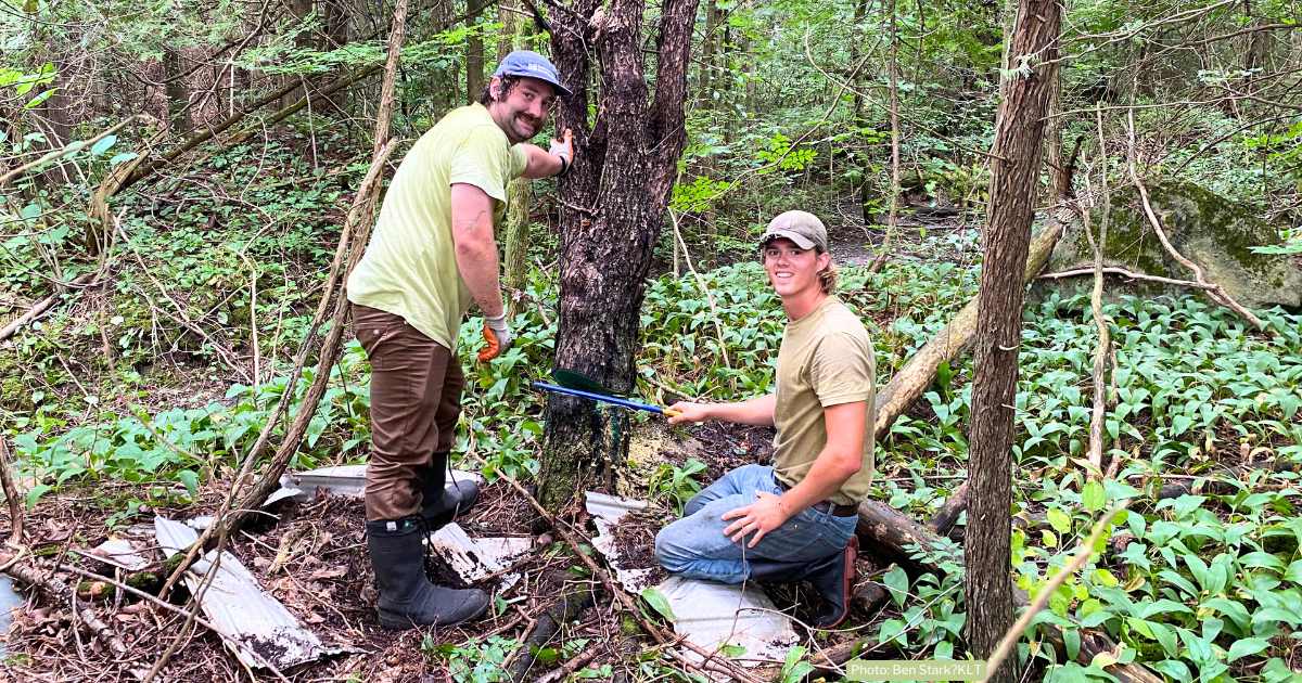 Colin and Adam conducting field work