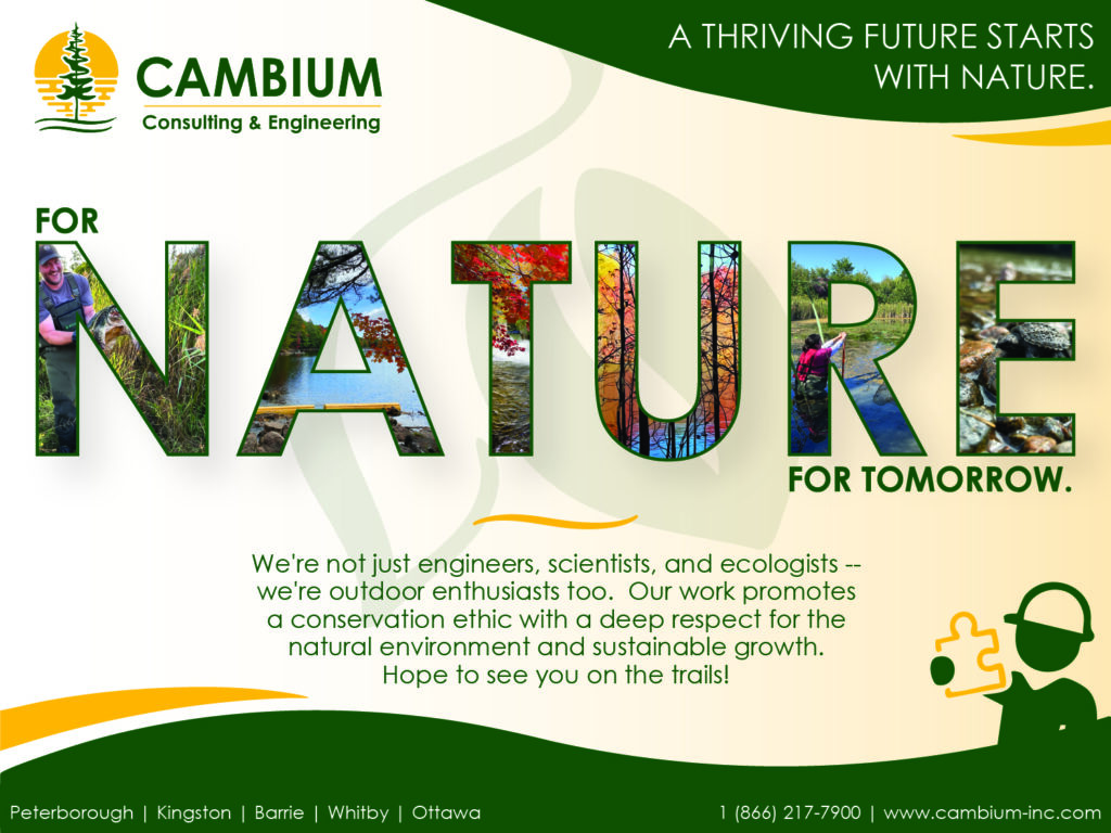 Cambium Consulting and Engineering